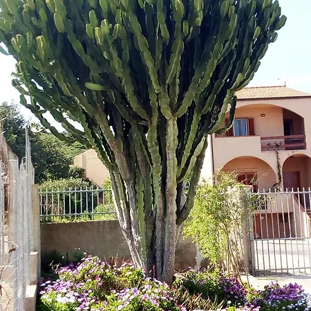 Privacy & Relax In Sardegna 康特港